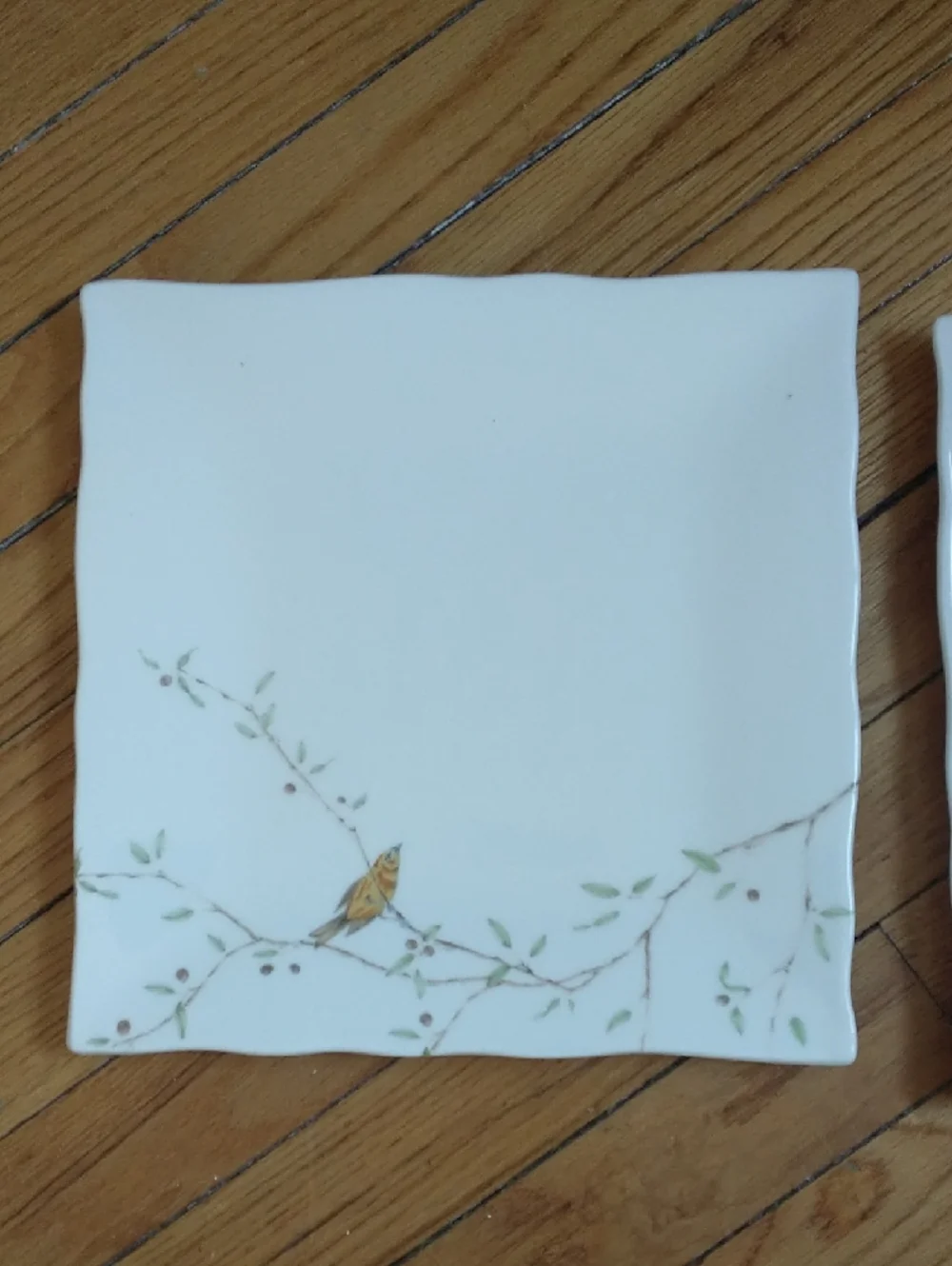 222 Fifth Pts International White Ceramic Square Dinner Plates Early Bird 2X Set